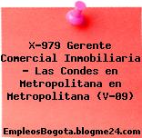 X-979 Gerente Comercial Inmobiliaria – Las Condes en Metropolitana en Metropolitana (V-09)