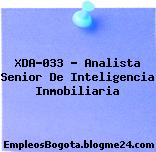 XDA-033 – Analista Senior De Inteligencia Inmobiliaria