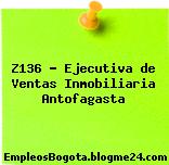Z136 – Ejecutiva de Ventas Inmobiliaria Antofagasta
