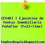 ZE548] | Ejecutiva de Ventas Inmobiliaria Peñaflor (Full-Time)