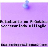 Estudiante en Práctica Secretariado Bilingüe
