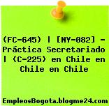 (FC-645) | [NY-082] – Práctica Secretariado | (C-225) en Chile en Chile en Chile