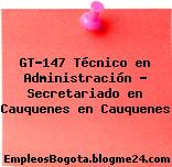 GT-147 Técnico en Administración – Secretariado en Cauquenes en Cauquenes
