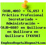 (KUB.409) – (G.65) | Práctica Profesional Secretariado – Administración – (AJB-660) en Quilicura en Quilicura en Quilicura [FK650]