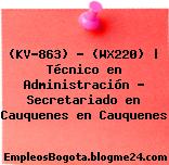 (KV-863) – (WX220) | Técnico en Administración – Secretariado en Cauquenes en Cauquenes