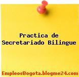 Practica de Secretariado Bilingue