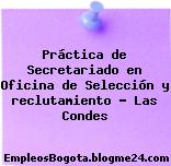 Práctica de Secretariado en Oficina de Selección y reclutamiento Las Condes