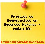 Practica de Secretariado en Recursos Humanos – Peñalolén