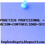 PRACTICA PROFESIONAL – ADMINISTRACION-CONTABILIDAD-SECRETARIADO