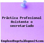 Práctica Profesional Asistente o secretariado
