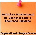 Práctica Profesional de Secretariado o Recursos Humanos