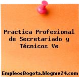 Practica Profesional de Secretariado y Técnicos Ve