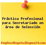 Práctica Profesional para Secretariado en área de Selección