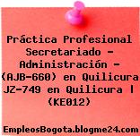 Práctica Profesional Secretariado – Administración – (AJB-660) en Quilicura JZ-749 en Quilicura | (KE012)