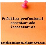 Práctica profesional secretariado (secretaria)