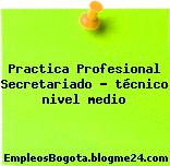 Practica Profesional Secretariado – técnico nivel medio