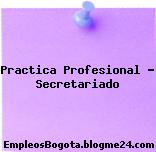 Práctica Profesional, Secretariado