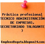 Práctica profesional TECNICO ADMINISTRACIÓN DE EMPRESAS, SECRETARIADO TALAGANTE )