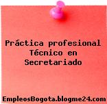 Práctica profesional Técnico en Secretariado