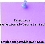 Práctica profesional-Secretariado