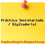 Práctica Secretariado / Digitador(a)