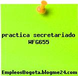 practica secretariado WFG655