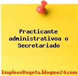 Practicante administrativoa o Secretariado