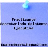 Practicante Secretariado / Asistente Ejecutiva