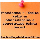 Practicante – Técnico medio en administración o secretariado Quinta Normal