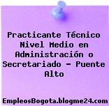Practicante Técnico Nivel Medio en Administración o Secretariado – Puente Alto