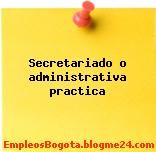 Secretariado o administrativa practica