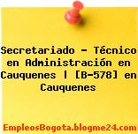 Secretariado – Técnico en Administración en Cauquenes | [B-578] en Cauquenes