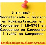 (SIP-386) – Secretariado – Técnico en Administración en Cauquenes | [B-578] en Cauquenes en Cauquenes | Y.057 en Cauquenes