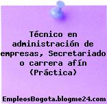 Técnico en administración de empresas, Secretariado o carrera afín (Práctica)