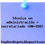 Técnico en administración – secretariado (AN-299)