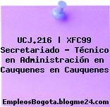 UCJ.216 | XFC99 Secretariado – Técnico en Administración en Cauquenes en Cauquenes
