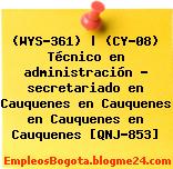 (WYS-361) | (CY-08) Técnico en administración – secretariado en Cauquenes en Cauquenes en Cauquenes en Cauquenes [QNJ-853]