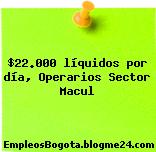 $22.000 líquidos por día, Operarios Sector Macul