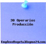 30 Operarios Producción