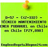 D-57 – (XZ-332) – TÉCNICO MANTENIMIENTO ENEA PUDAHUEL en Chile en Chile [PZY.898]