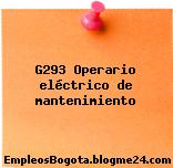 G293 Operario eléctrico de mantenimiento