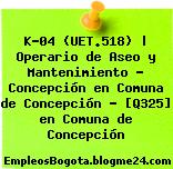 K-04 (UET.518) | Operario de Aseo y Mantenimiento – Concepción en Comuna de Concepción – [Q325] en Comuna de Concepción