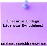 Operario Bodega Licencia D-pudahuel