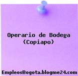 Operario de Bodega (Copiapo)