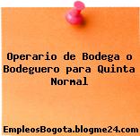Operario de Bodega o Bodeguero para Quinta Normal