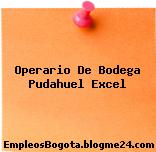 Operario De Bodega Pudahuel Excel