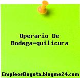 Operario De Bodega-quilicura