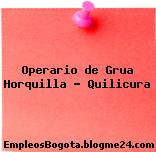 Operario de Grua Horquilla – Quilicura
