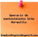 Operario de mantenimiento Grúa Horquilla