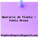 Operario de Planta – Punta Arena